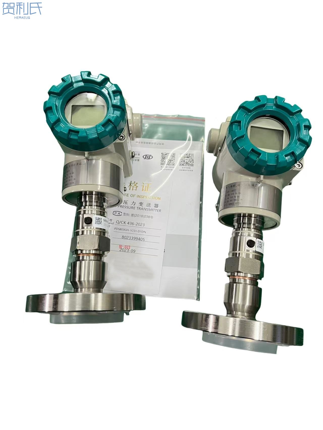 PDS压力变送器(图1)